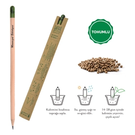 Tohumlu Naturel Kurşun Kalem