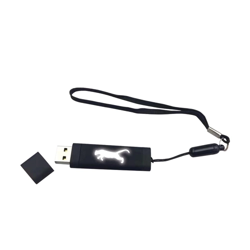 F-200-16 16 GB Işıklı Rubber Usb